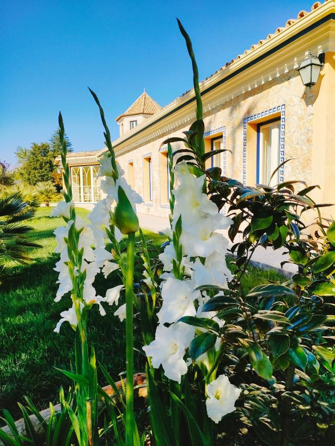 Quinta Do Bamby Villa Leiria Kültér fotó