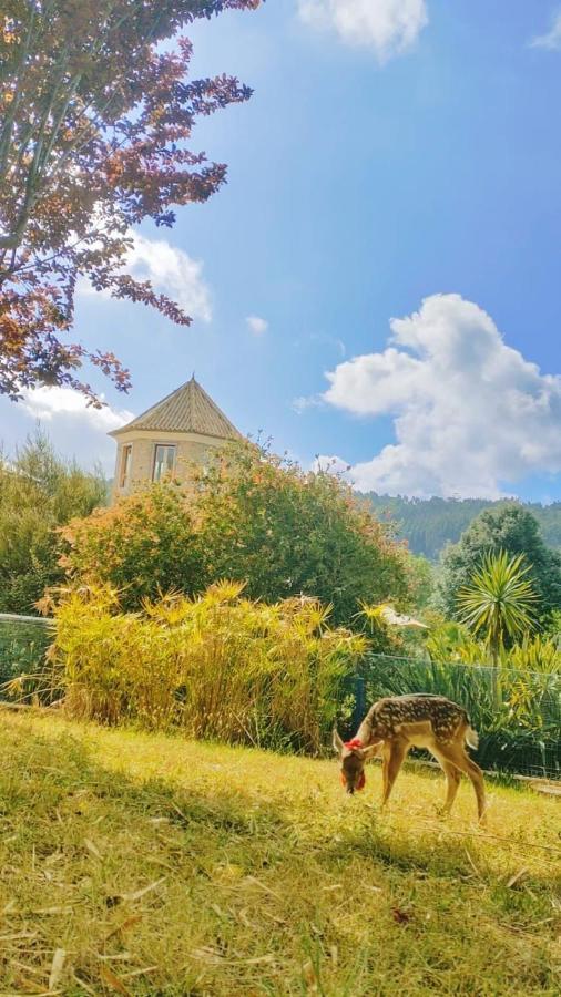 Quinta Do Bamby Villa Leiria Kültér fotó