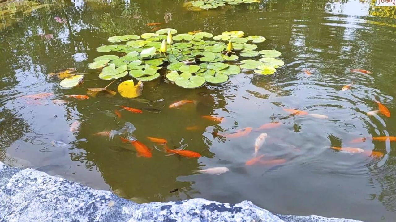Quinta Do Bamby Villa Leiria Kültér fotó