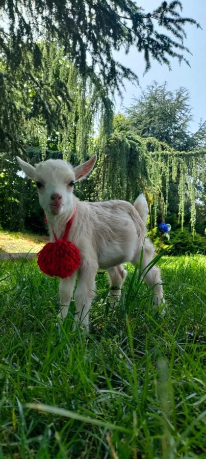 Quinta Do Bamby Villa Leiria Kültér fotó