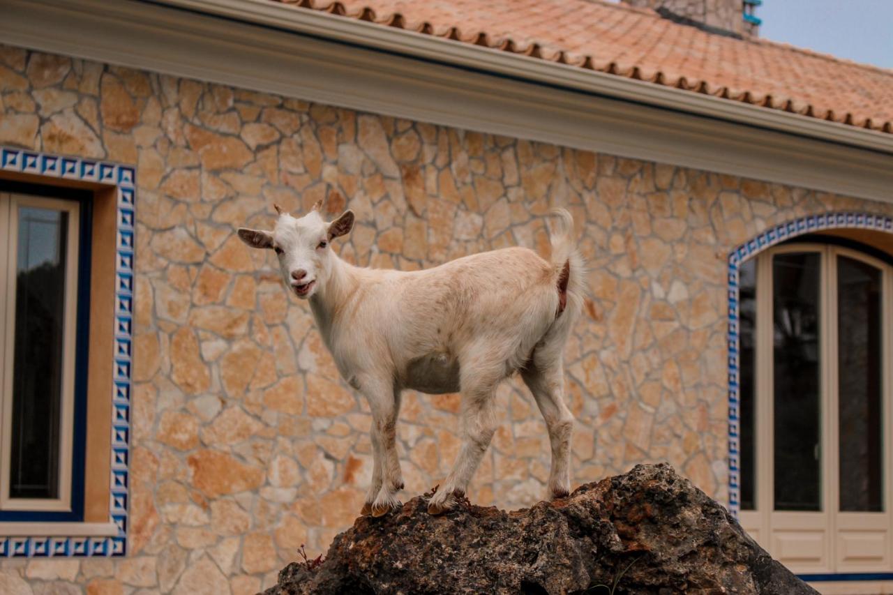 Quinta Do Bamby Villa Leiria Kültér fotó